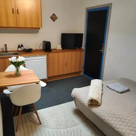 1-værelseslejlighed I Centrum *