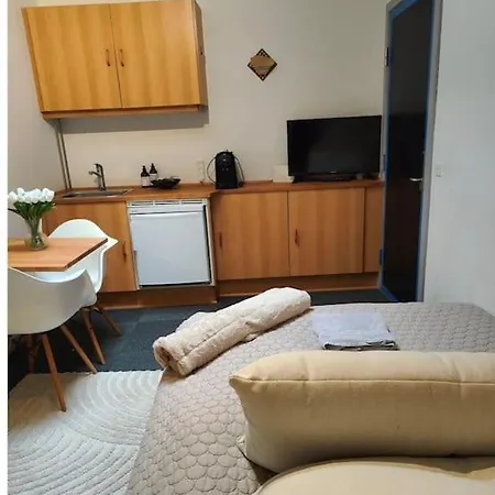 1-værelseslejlighed I Centrum Lejlighed