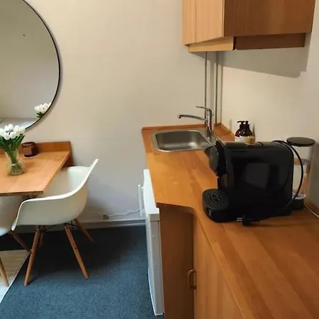 1-værelseslejlighed I Centrum *