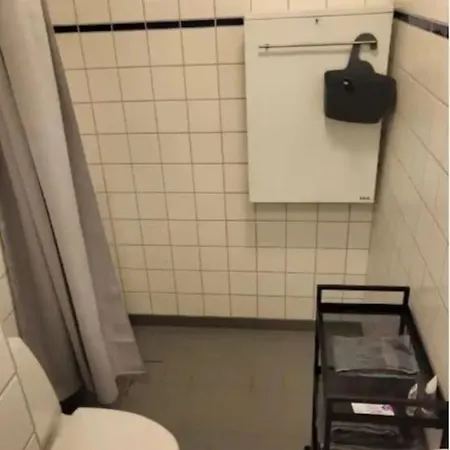 1-værelseslejlighed I Centrum Lejlighed *