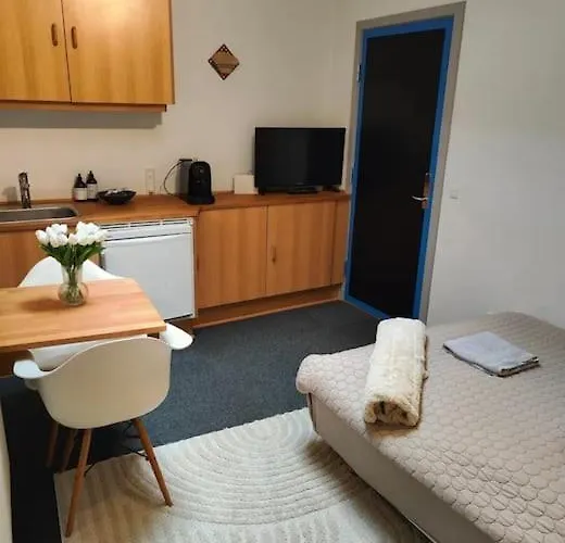 1-vaerelseslejlighed I Centrum *