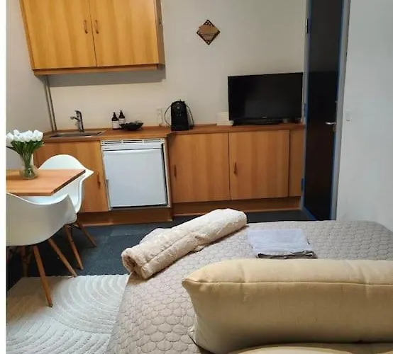 1-vaerelseslejlighed I Centrum Apartamento