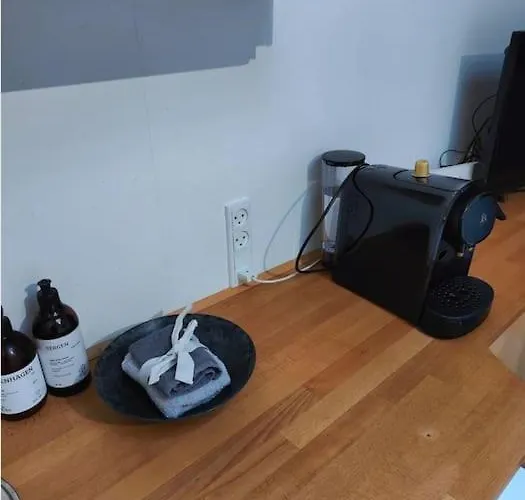 1-vaerelseslejlighed I Centrum Apartamento *