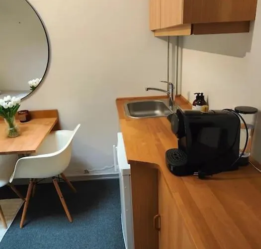 1-vaerelseslejlighed I Centrum *